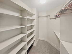 Walk-in Closet in the primary suite
