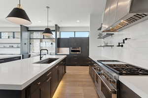 Kitchen with ventilation hood, appliances with stainless steel finishes, a sink, light countertops, and light wood-type flooring