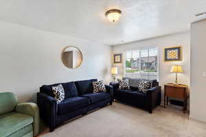 Living room featuring light carpet, a textured ceiling, and baseboards