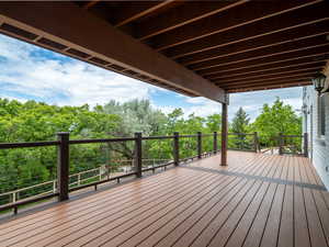 Photo 45 of 4253 S SPRING RD
