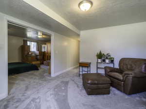 Living area with carpet flooring, baseboards, and a textured ceiling