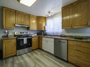 Kitchen featuring stainless steel appliances, under cabinet range hood, a sink, light wood-style floors, and dark countertops