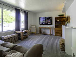 Living area with carpet, baseboards, and a textured ceiling