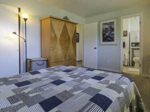 Bedroom with carpet and ensuite bathroom