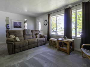 Living area featuring healthy amount of natural light, carpet, and a textured ceiling