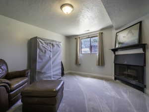Sitting room with a textured ceiling, carpet, baseboards, and a fireplace