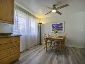 Dining space with light wood-type flooring, baseboards, and a ceiling fan