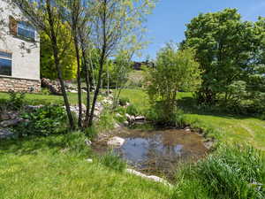 View of stream running through backyard