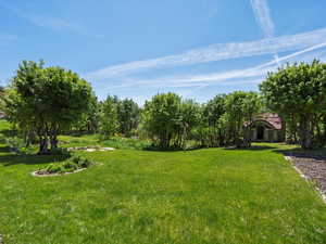 Mature landscaping for privacy screening