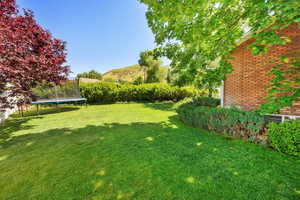 View of grassy yard with a trampoline