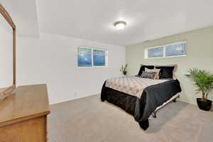 Bedroom with multiple windows, carpet flooring, and baseboards