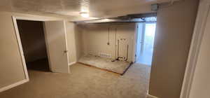 Basement laundry / storage
