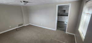Empty room with a sink, healthy amount of natural light, baseboards, carpet floors, and a textured ceiling