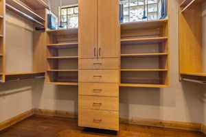 Spacious closet featuring dark wood-style floors