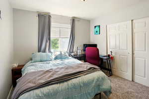 Carpeted bedroom featuring a closet
