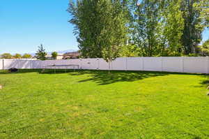 View of yard featuring a trampoline