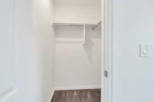 Spacious closet featuring carpet