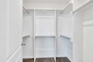 Walk in closet with carpet flooring