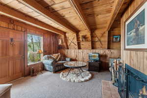 Sitting room with carpet flooring, wood ceiling, and wooden walls