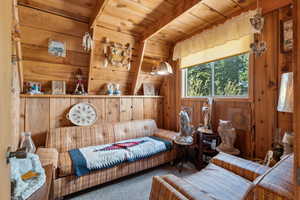 Living area with wood walls, carpet floors, and wood ceiling with exposed beams