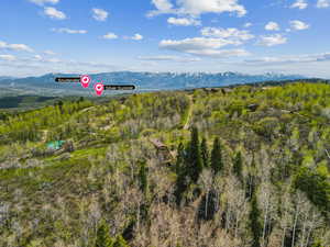 View of mountain background featuring a heavily wooded area