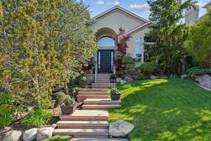 View of property hidden behind natural elements with a front lawn and stucco siding