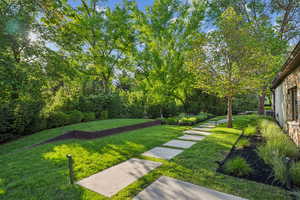 View of grassy yard