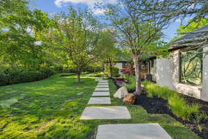 View of grassy yard