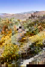 View of subject property featuring a mountain backdrop and a forest