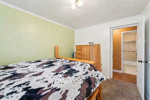 Bedroom featuring crown molding, a textured ceiling, and carpet floors