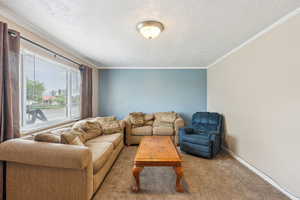Carpeted living area with a textured ceiling, ornamental molding, and baseboards