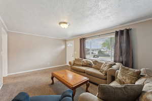 Carpeted living room with a textured ceiling, crown molding, and baseboards