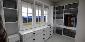 Walk in closet featuring light carpet