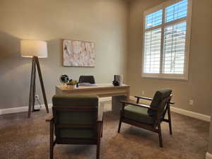 Office area featuring plenty of natural light, baseboards, and carpet floors