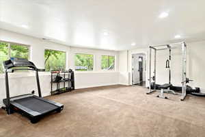 Huge Great Room, Extra Windows, Natural Lighting, Storage, New Paint