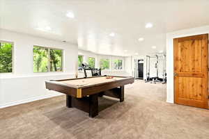 Huge Great Room, Extra Windows, Natural Lighting, Storage, New Paint