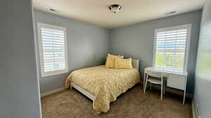 Bedroom featuring carpet flooring, a textured ceiling, and baseboards