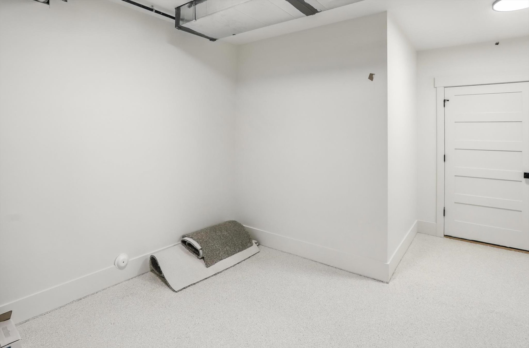 Spacious closet with light carpet