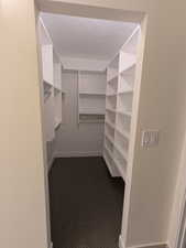 Walk in closet featuring dark carpet