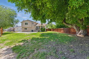 Huge yard with tons of potential!