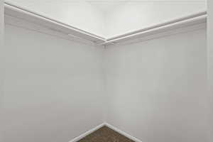Walk in closet in Primary Bedroom.