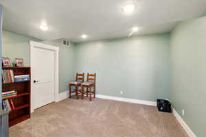 Flex area for use off the family room.