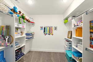 Walk in closet in large basement bedroom