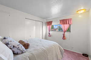Carpeted bedroom featuring a closet and a textured ceiling