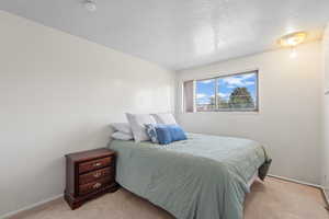Bedroom featuring carpet floors and a textured ceiling