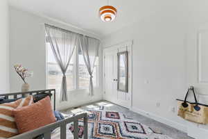 Foyer featuring carpet and baseboards