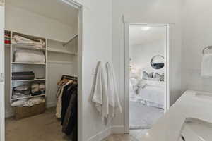 Spacious closet featuring light carpet and a sink