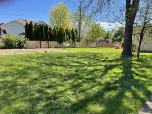 side yard by apartments