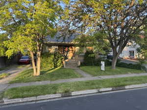 Obstructed view of property with dirt driveway