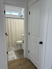 Full bath with vanity, wood finished floors, toilet, and a shower with shower curtain